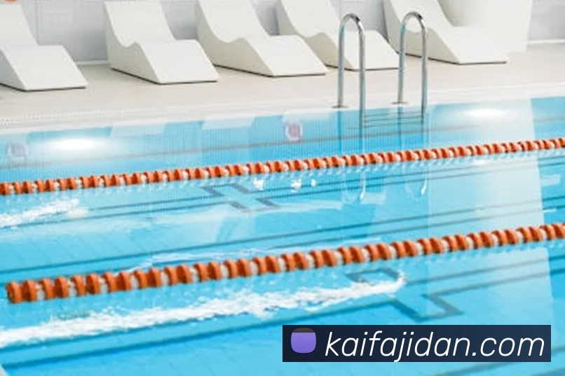 凯发K8APP 封面图